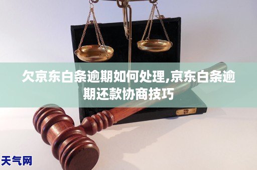 欠京東白條逾期如何處理京東白條逾期還款協商技巧