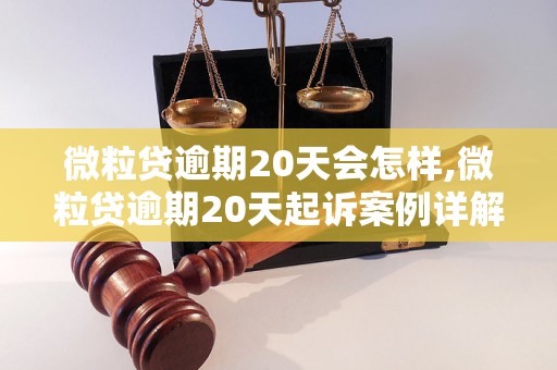 微粒贷逾期20天会怎样,微粒贷逾期20天起诉案例详解