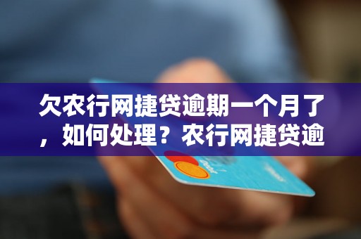 欠农行网捷贷逾期一个月了，如何处理？农行网捷贷逾期后果及解决办法