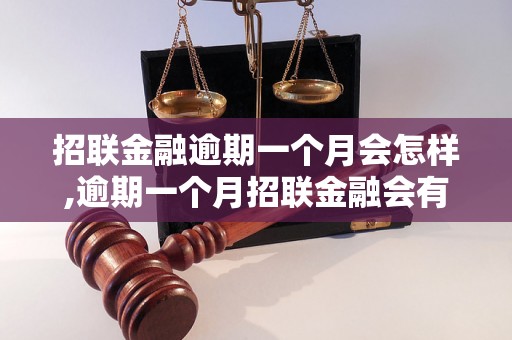 招联金融逾期一个月会怎样,逾期一个月招联金融会有什么影响