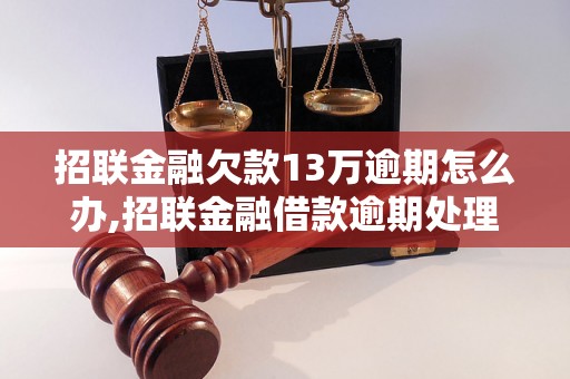 招联金融欠款13万逾期怎么办,招联金融借款逾期处理流程