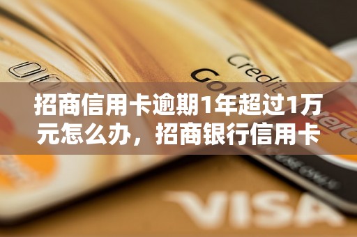 招商信用卡逾期1年超过1万元怎么办，招商银行信用卡逾期处理流程