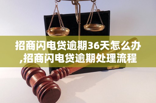 招商闪电贷逾期36天怎么办,招商闪电贷逾期处理流程详解