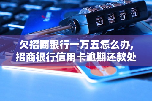 欠招商银行一万五怎么办,招商银行信用卡逾期还款处理办法