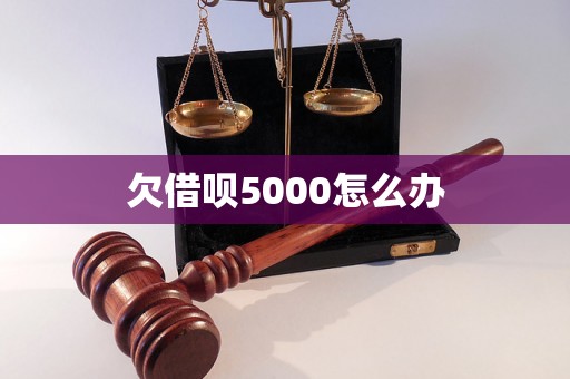 欠借呗5000怎么办