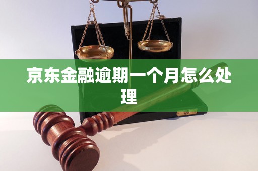 京东金融逾期一个月怎么处理