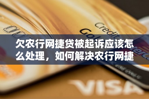 欠农行网捷贷被起诉应该怎么处理，如何解决农行网捷贷被起诉问题