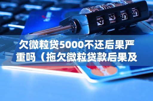 欠微粒贷5000不还后果严重吗（拖欠微粒贷款后果及解决方法）