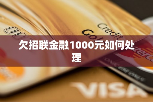 欠招联金融1000元如何处理