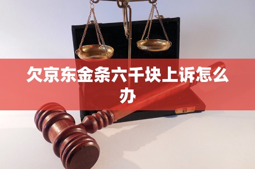 欠京东金条六千块上诉怎么办