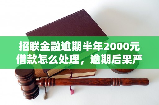 招联金融逾期半年2000元借款怎么处理，逾期后果严重吗