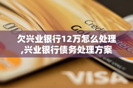 欠兴业银行12万怎么处理,兴业银行债务处理方案