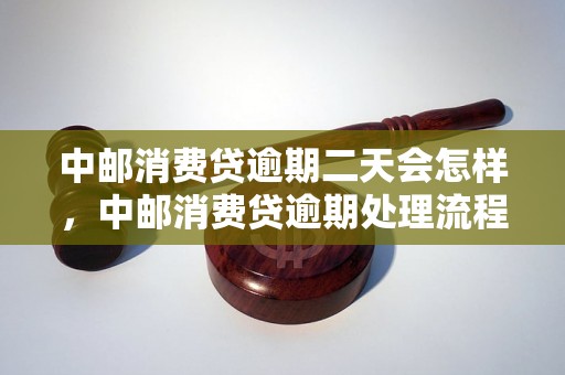 中邮消费贷逾期二天会怎样，中邮消费贷逾期处理流程解析