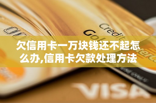 欠信用卡一万块钱还不起怎么办,信用卡欠款处理方法