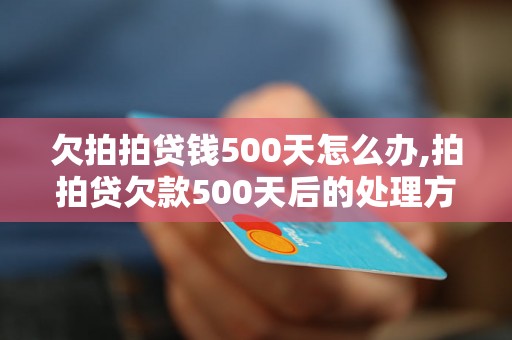 欠拍拍贷钱500天怎么办,拍拍贷欠款500天后的处理方法