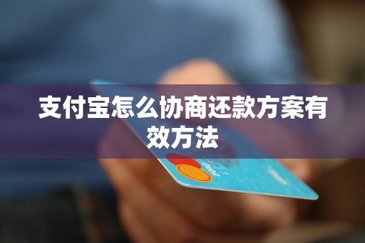 支付宝怎么协商还款方案有效方法