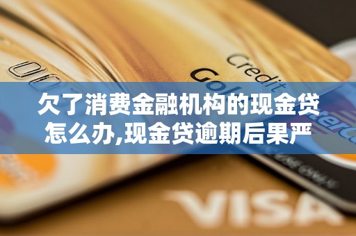 欠了消费金融机构的现金贷怎么办,现金贷逾期后果严重吗