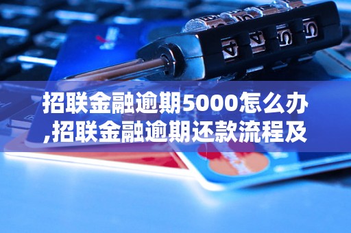 招联金融逾期5000怎么办,招联金融逾期还款流程及注意事项