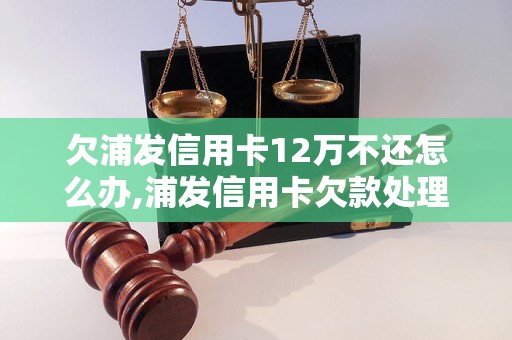 欠浦发信用卡12万不还怎么办,浦发信用卡欠款处理流程