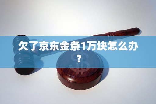 欠了京东金条1万块怎么办？