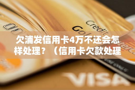 欠浦发信用卡4万不还会怎样处理？（信用卡欠款处理流程详解）