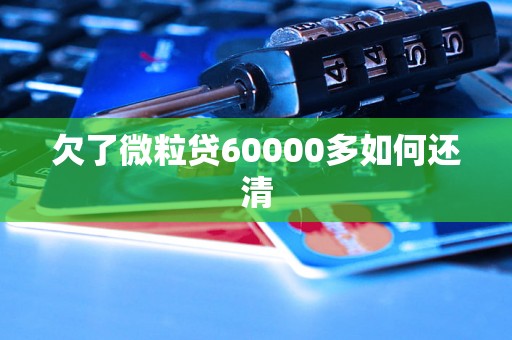 欠了微粒贷60000多如何还清