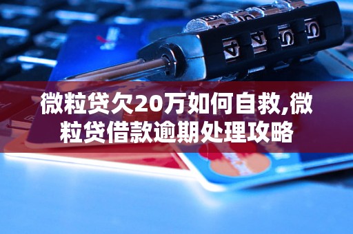 微粒贷欠20万如何自救,微粒贷借款逾期处理攻略