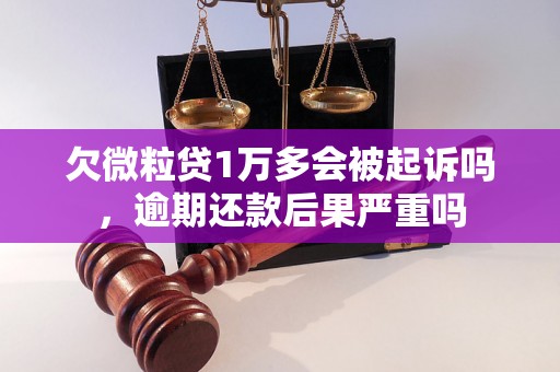 欠微粒贷1万多会被起诉吗，逾期还款后果严重吗