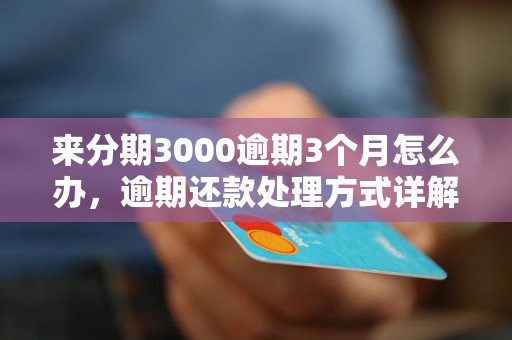 来分期3000逾期3个月怎么办，逾期还款处理方式详解