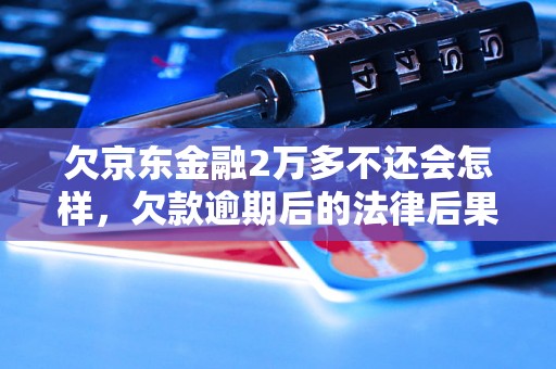 欠京东金融2万多不还会怎样，欠款逾期后的法律后果详解