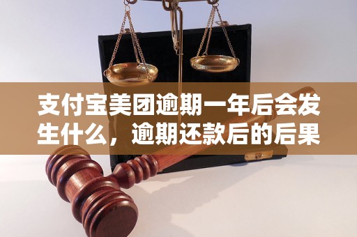 支付宝美团逾期一年后会发生什么，逾期还款后的后果