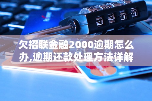 欠招联金融2000逾期怎么办,逾期还款处理方法详解