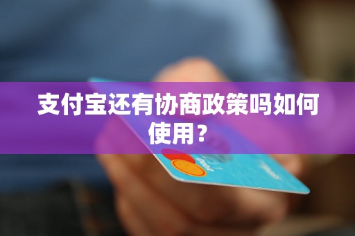 支付宝还有协商政策吗如何使用？