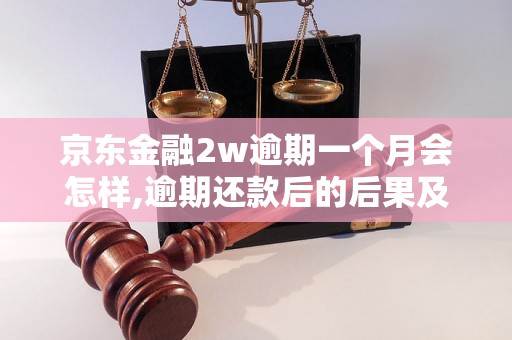 京东金融2w逾期一个月会怎样,逾期还款后的后果及处理方式