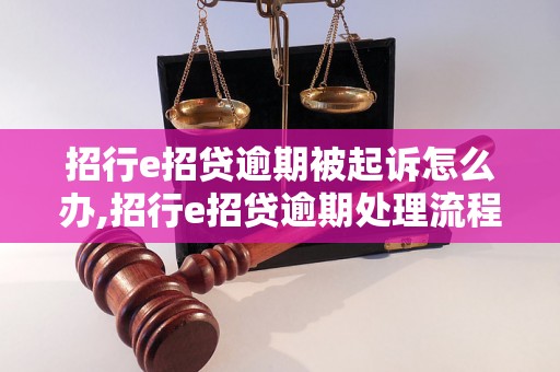 招行e招贷逾期被起诉怎么办,招行e招贷逾期处理流程详解