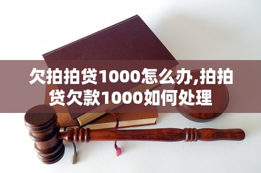 欠拍拍贷1000怎么办,拍拍贷欠款1000如何处理