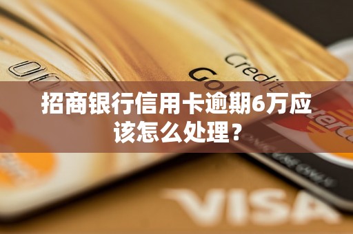 招商银行信用卡逾期6万应该怎么处理？