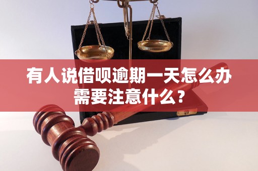 有人说借呗逾期一天怎么办需要注意什么？