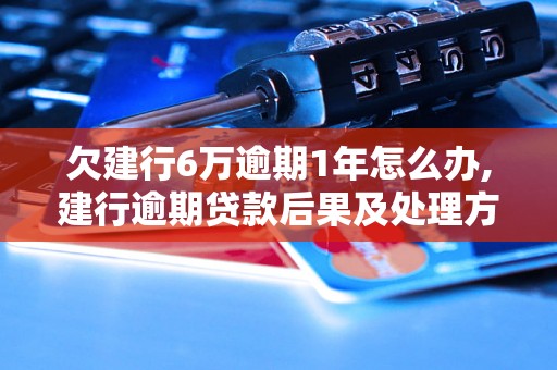 欠建行6万逾期1年怎么办,建行逾期贷款后果及处理方式