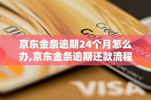 京东金条逾期24个月怎么办,京东金条逾期还款流程详解