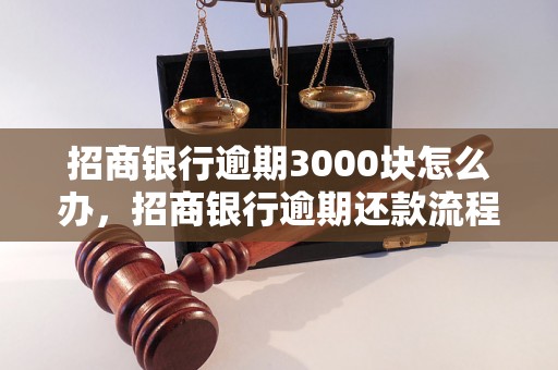 招商银行逾期3000块怎么办，招商银行逾期还款流程详解