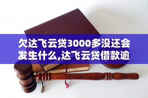 欠达飞云贷3000多没还会发生什么,达飞云贷借款逾期后果说明