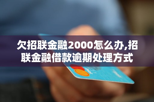 欠招联金融2000怎么办,招联金融借款逾期处理方式