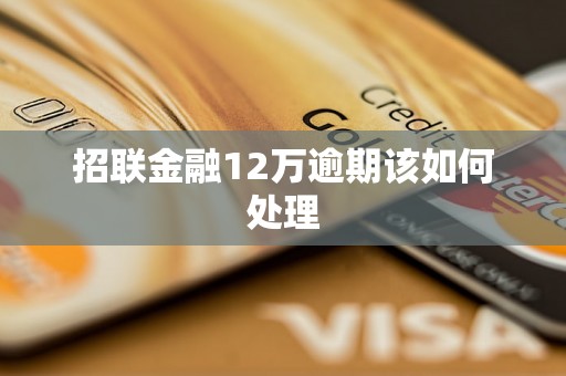 招联金融12万逾期该如何处理