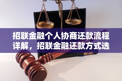 招联金融个人协商还款流程详解，招联金融还款方式选择指南