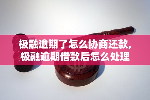 极融逾期了怎么协商还款,极融逾期借款后怎么处理