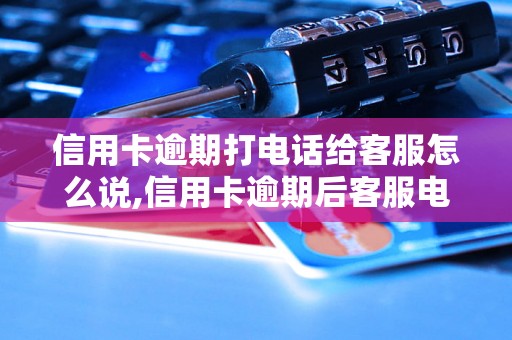 信用卡逾期打电话给客服怎么说,信用卡逾期后客服电话怎么处理