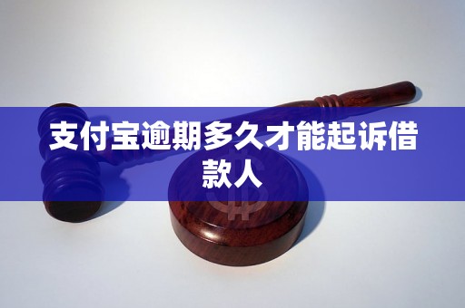 支付宝逾期多久才能起诉借款人