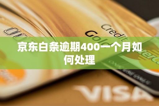 京东白条逾期400一个月如何处理