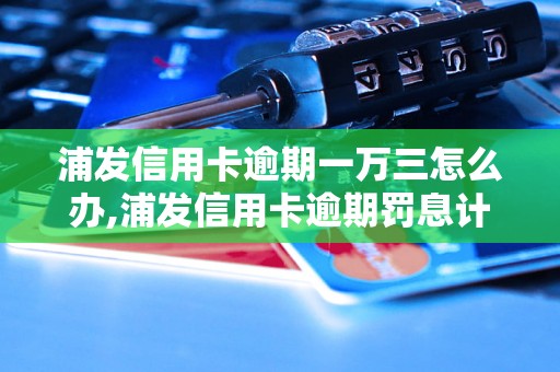 浦发信用卡逾期一万三怎么办,浦发信用卡逾期罚息计算规则